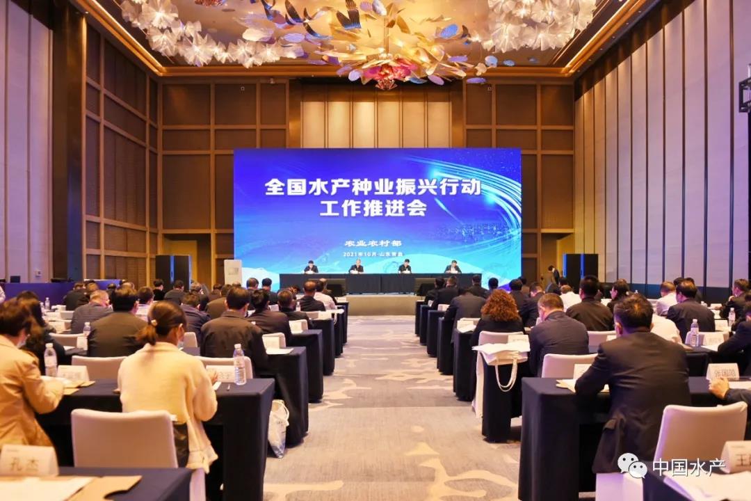 色翁荡息又大又硬又粗又爽