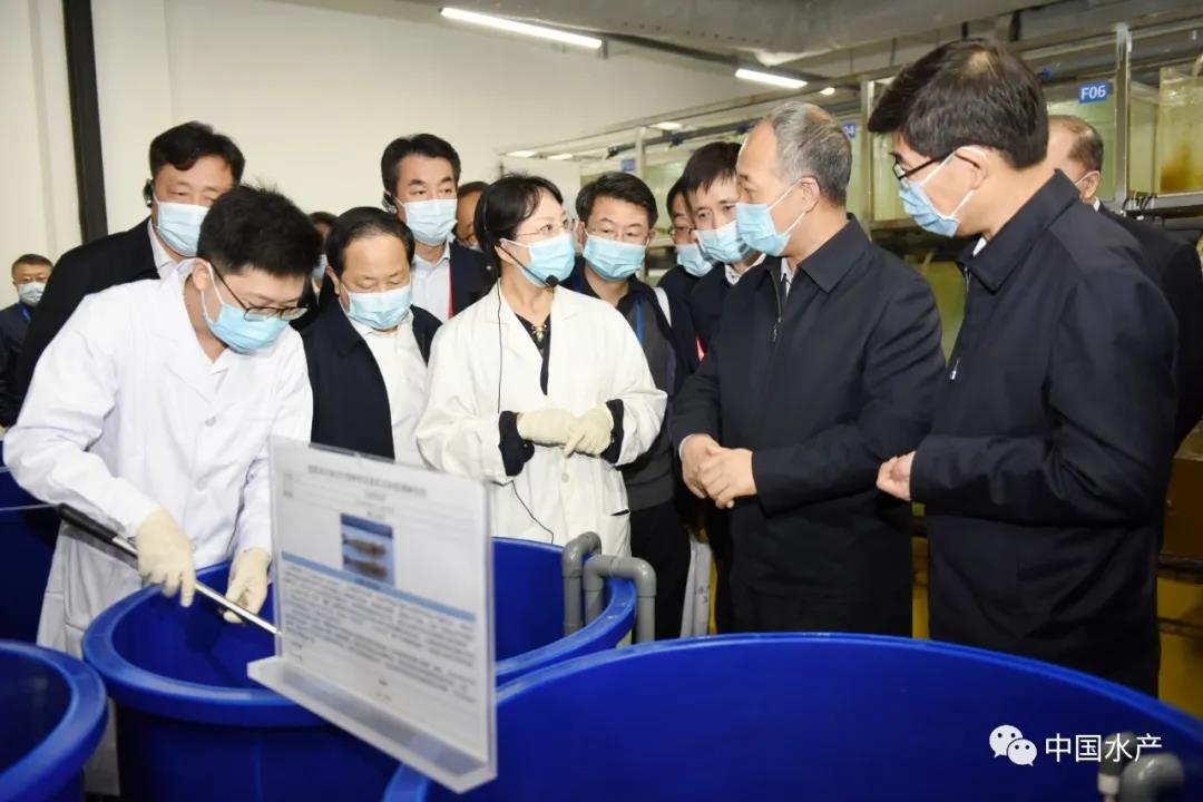 色翁荡息又大又硬又粗又爽