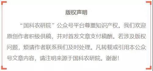 色翁荡息又大又硬又粗又爽