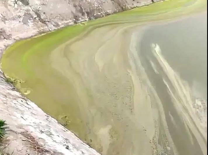 色翁荡息又大又硬又粗又爽