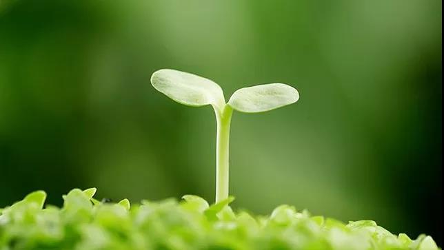 色翁荡息又大又硬又粗又爽