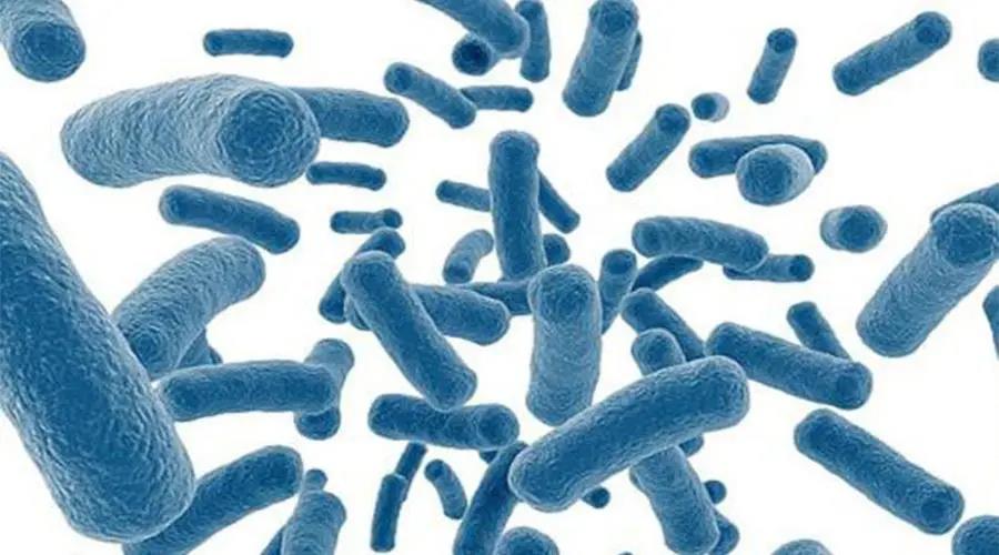 色翁荡息又大又硬又粗又爽