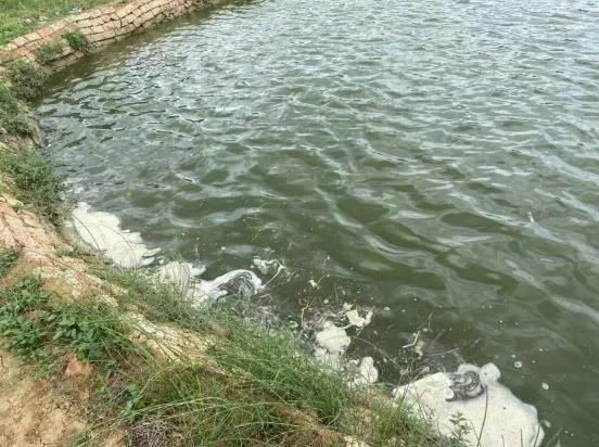 色翁荡息又大又硬又粗又爽