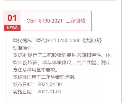 色翁荡息又大又硬又粗又爽