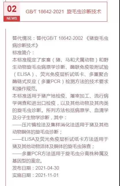 色翁荡息又大又硬又粗又爽
