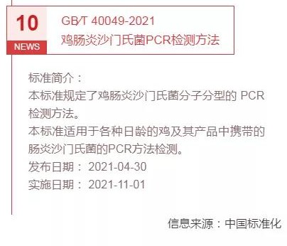 色翁荡息又大又硬又粗又爽