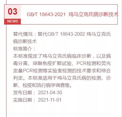 色翁荡息又大又硬又粗又爽