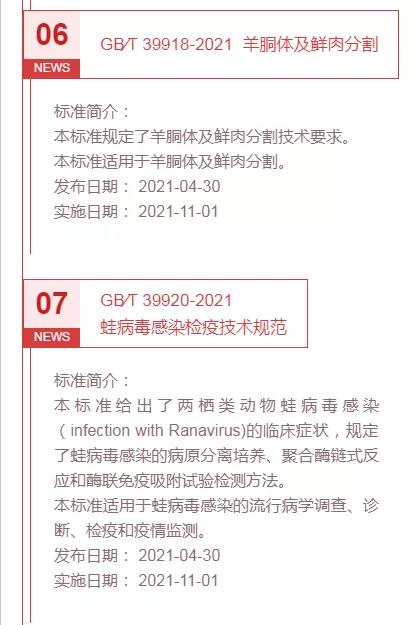 色翁荡息又大又硬又粗又爽