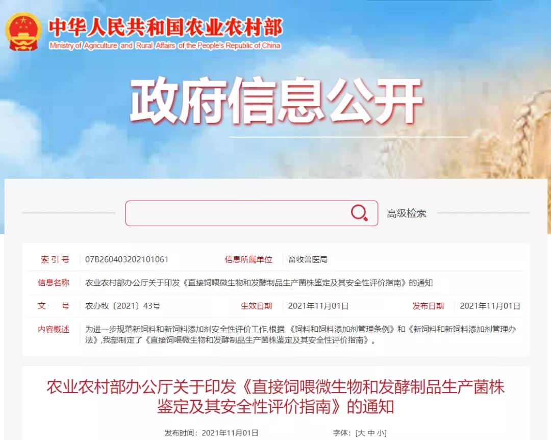 色翁荡息又大又硬又粗又爽