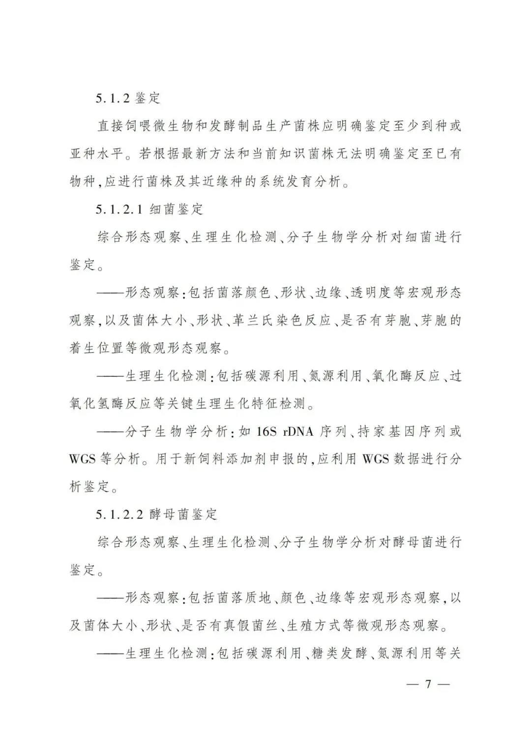 色翁荡息又大又硬又粗又爽