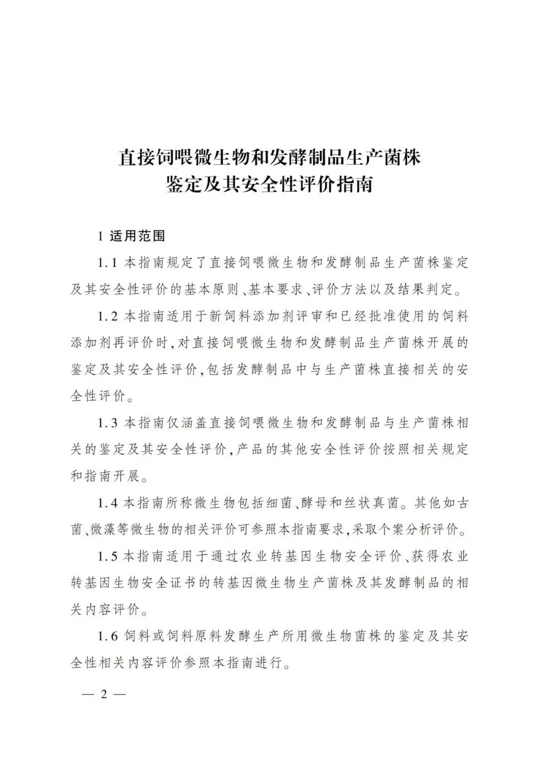 色翁荡息又大又硬又粗又爽