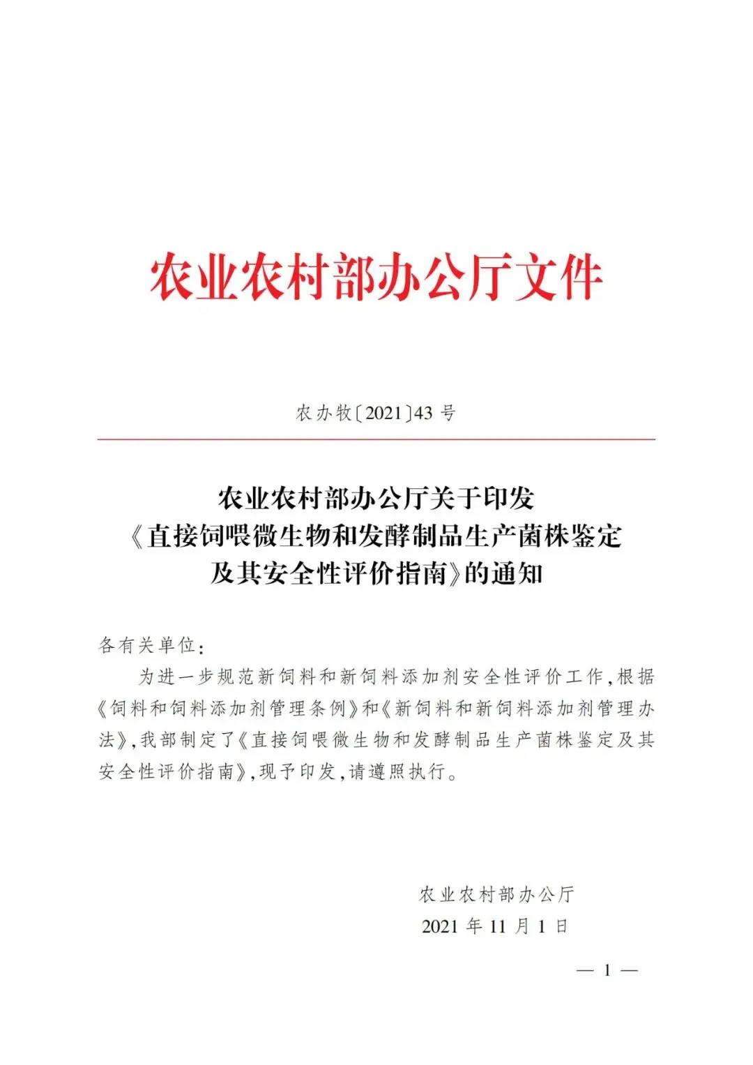 色翁荡息又大又硬又粗又爽