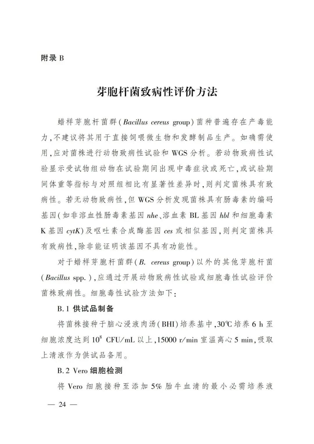 色翁荡息又大又硬又粗又爽