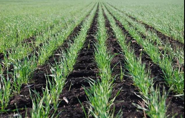 色翁荡息又大又硬又粗又爽