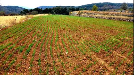 色翁荡息又大又硬又粗又爽