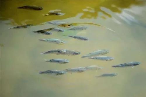 色翁荡息又大又硬又粗又爽