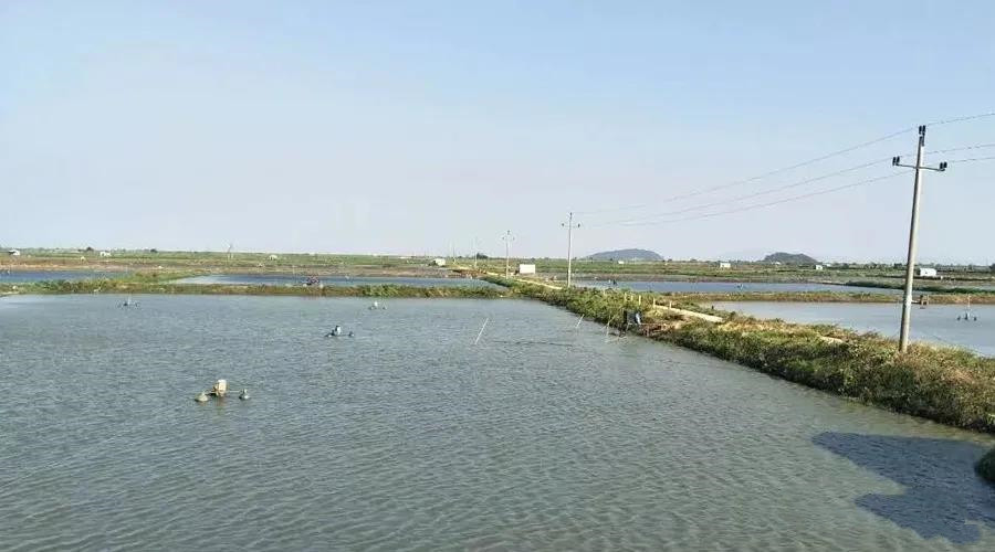 色翁荡息又大又硬又粗又爽