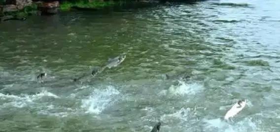 色翁荡息又大又硬又粗又爽