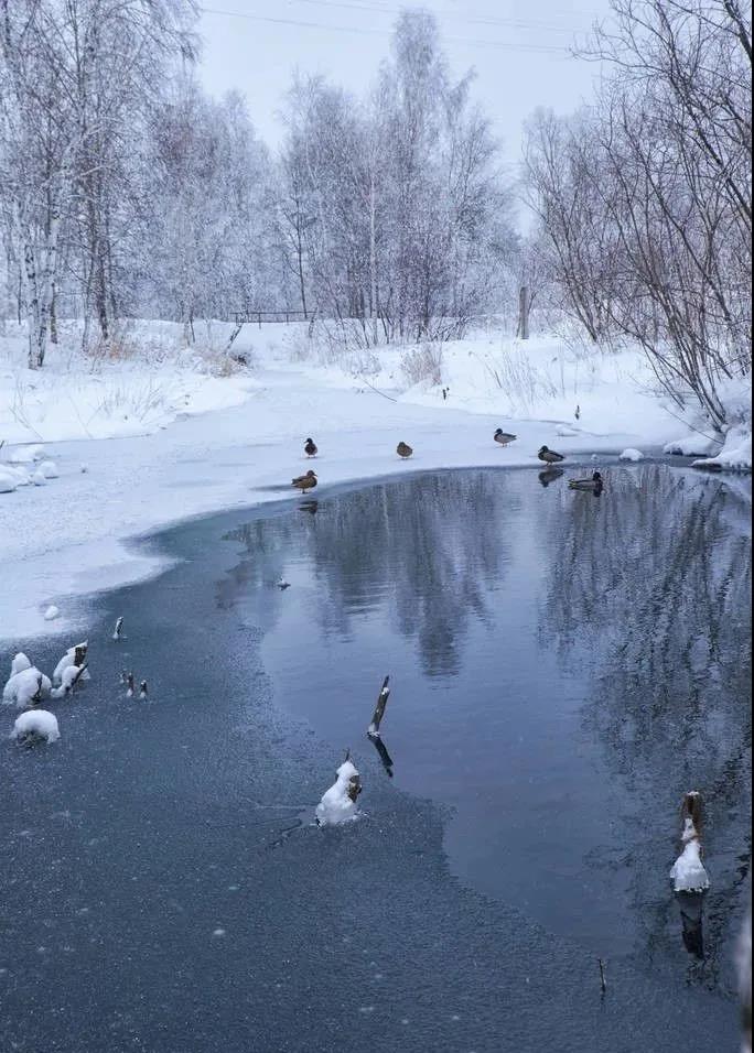 色翁荡息又大又硬又粗又爽