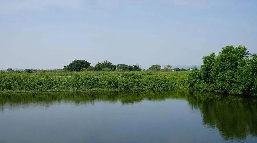 色翁荡息又大又硬又粗又爽