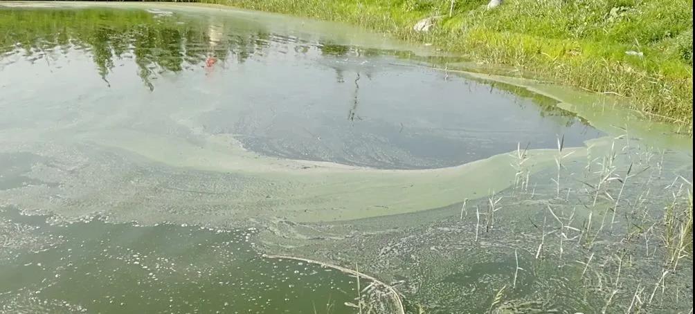 色翁荡息又大又硬又粗又爽