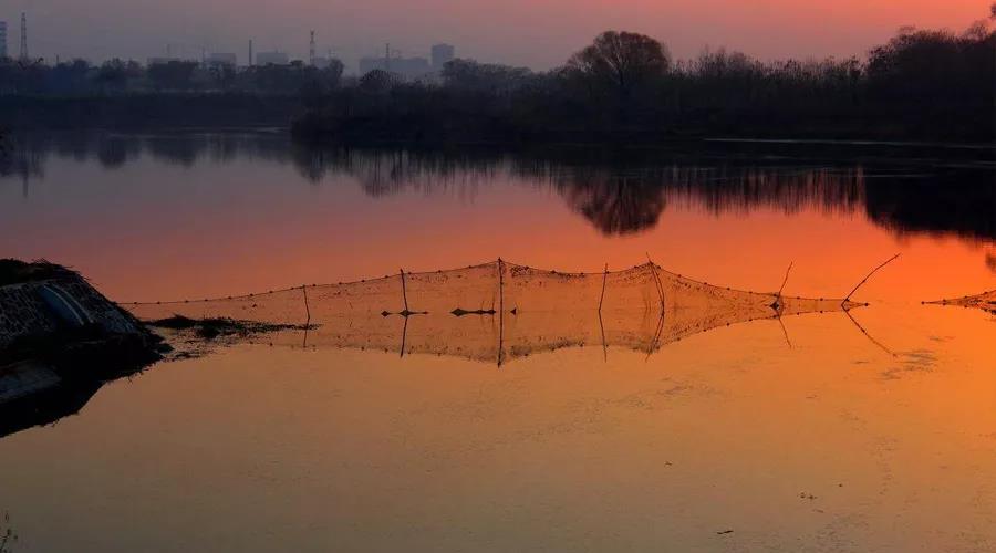 色翁荡息又大又硬又粗又爽