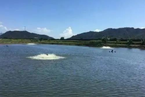 色翁荡息又大又硬又粗又爽