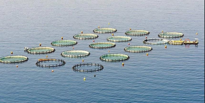 色翁荡息又大又硬又粗又爽