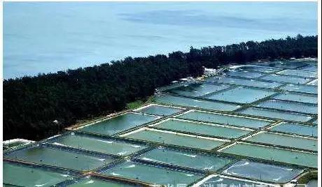 色翁荡息又大又硬又粗又爽