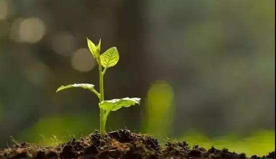 色翁荡息又大又硬又粗又爽