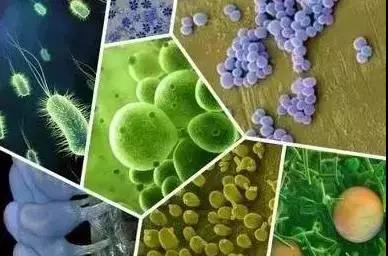 色翁荡息又大又硬又粗又爽