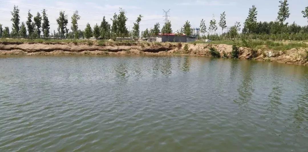 色翁荡息又大又硬又粗又爽