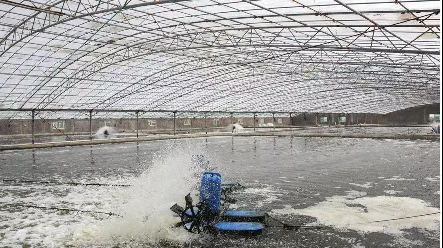 色翁荡息又大又硬又粗又爽