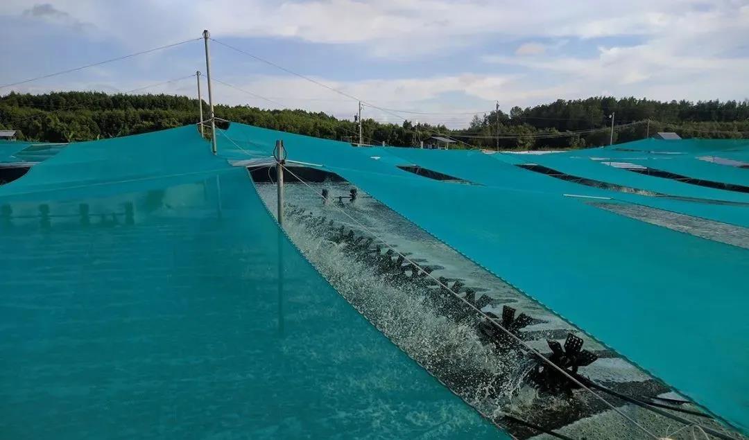 色翁荡息又大又硬又粗又爽