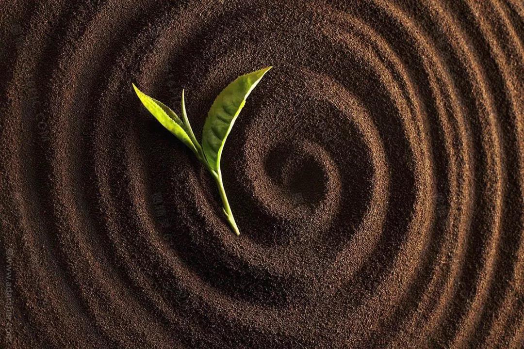 色翁荡息又大又硬又粗又爽