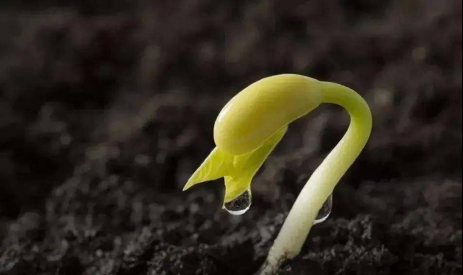 色翁荡息又大又硬又粗又爽