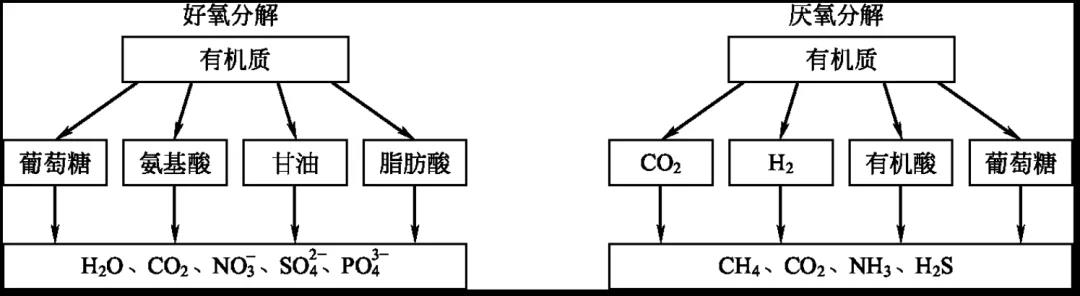 色翁荡息又大又硬又粗又爽