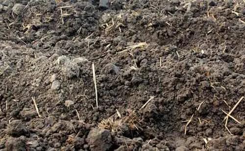 色翁荡息又大又硬又粗又爽