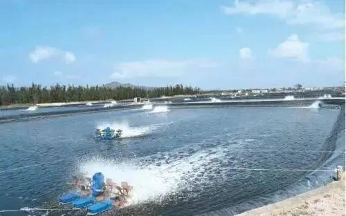 色翁荡息又大又硬又粗又爽