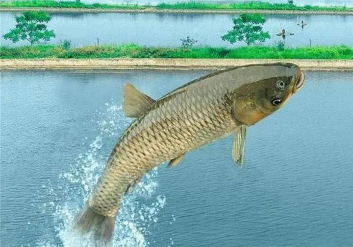 色翁荡息又大又硬又粗又爽