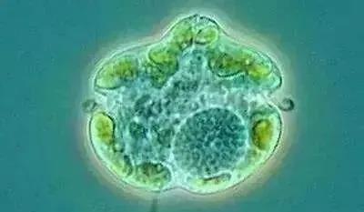 色翁荡息又大又硬又粗又爽