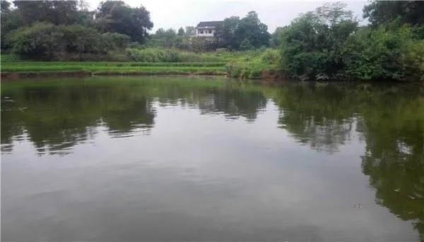 色翁荡息又大又硬又粗又爽