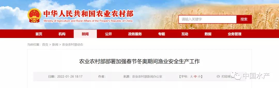 色翁荡息又大又硬又粗又爽