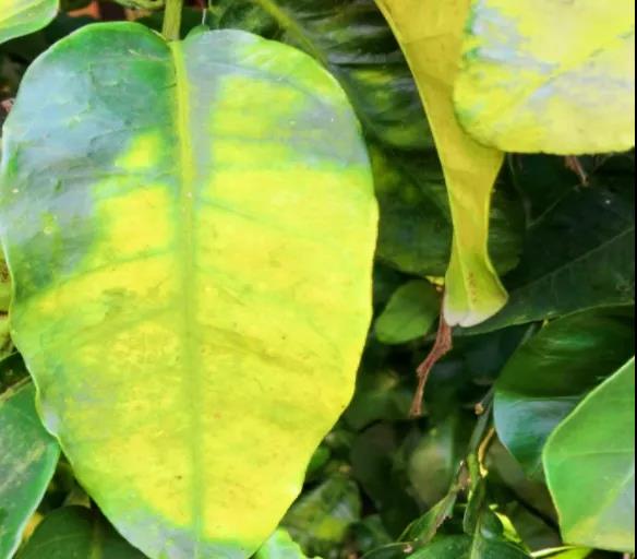 色翁荡息又大又硬又粗又爽