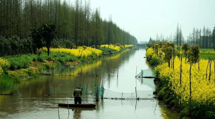 色翁荡息又大又硬又粗又爽