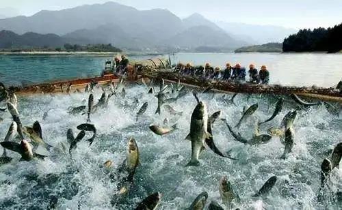 色翁荡息又大又硬又粗又爽