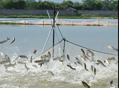 色翁荡息又大又硬又粗又爽