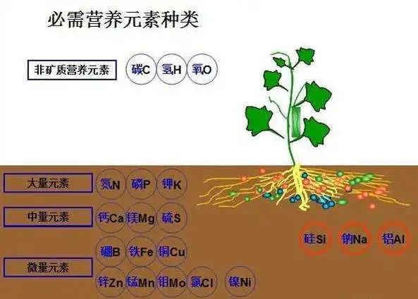 色翁荡息又大又硬又粗又爽