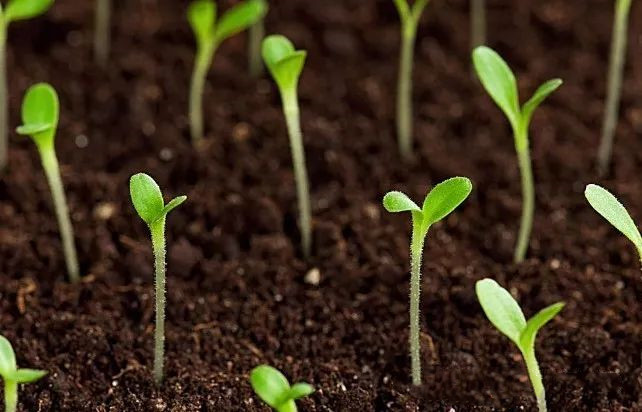 色翁荡息又大又硬又粗又爽