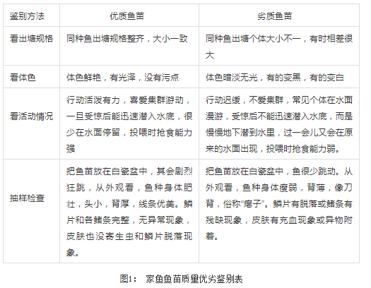 色翁荡息又大又硬又粗又爽